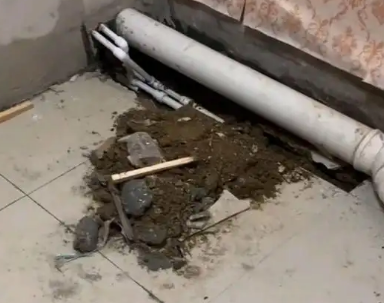 博山卫生间漏水检测哪家好